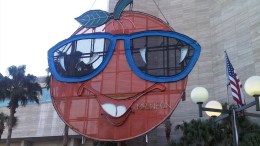 25th Big Orange: "It's Gonna Be Crazy"