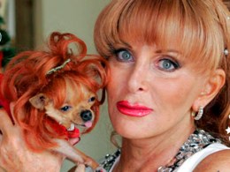 Fur Real: Miami Animals of 2010
