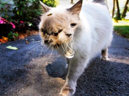 Weird News Photos