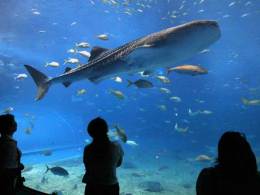 6 Things to Know in Florida for May 22
