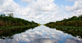 Everglades Restoration Monitoring Slashed