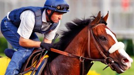 Your Guide to the Kentucky Derby