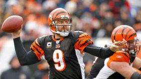 Dolphins Reportedly Interested in Carson Palmer