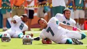 Dolphins Swarming Public Gyms During Lockout