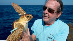Charley the Sea Turtle Released Off Florida Keys