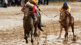 At Preakness, Orb Aims for Shot at History