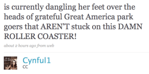 Did Roller-Coaster Rider Tweet Away the Pain?