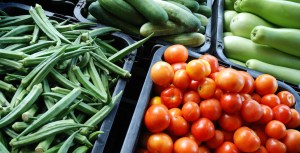 Miami-Dade Growers Make Green With New Slogan