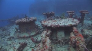 Spiegel Grove Artificial Reef Celebrates 10 Years