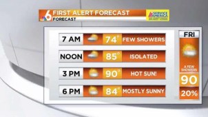 Morning sunshine and a few afternoon storms are possible today, 88.