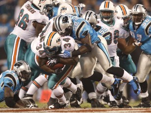 Dolphins Slug It Out at Carolina