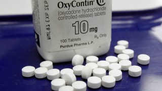 City Sues Drugmaker for Letting OxyContin Flood Black Market
