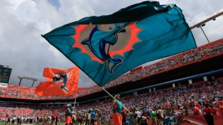 Dolphins-Raiders: Victory in Photos