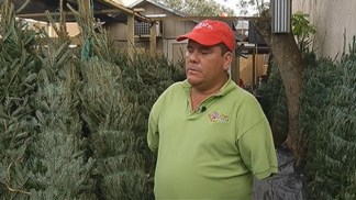 Disabled Man Blames Road Work for Low Xmas Tree Sales