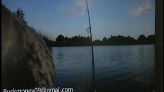 Gator Attacks Kayaker In Casselberry Lake