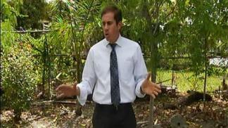 Miami Mini Park To Ward Off More Sex Offenders