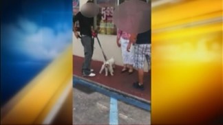 Owner of Stolen Dogs "Very Glad" To See Them in Video