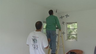 Bees Take Up Residence Inside Home's Drywall