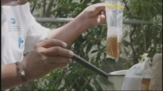 Local Dengue Fever Case Confirmed