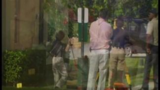 George Zimmerman's Lawyers Launching Website