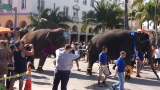 "Greatest Show on Earth" Takes Over South Beach