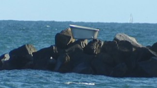 Mystery Bathtub on Government Cut Jetty