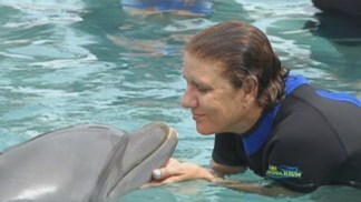 Cancer Survivors Swim With Dolphins At Miami Seaquarium