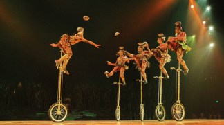 Opening Night at Totem