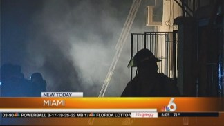 Dozens of Puppies Killed in Miami Strip Mall Fire
