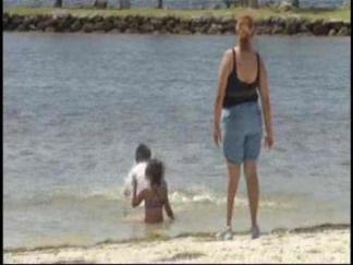 Bacteria in South Florida Water
