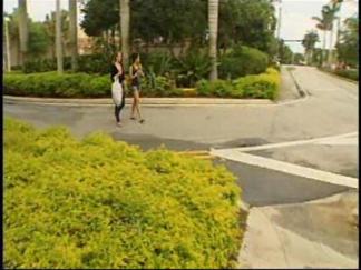 Mystery Marijuana Smell in Weston