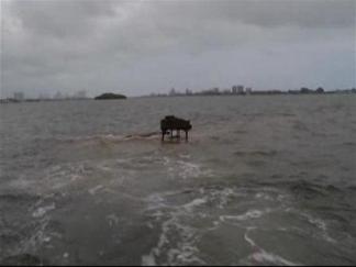 Miami Piano Mystery Solved