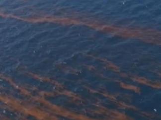 Gulf Oil Spill's Effect on South Florida