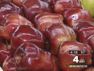 Harvest Foods and Your Health
