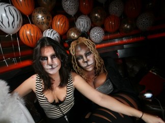 Zoo Party: Tigers and Lions and Bears