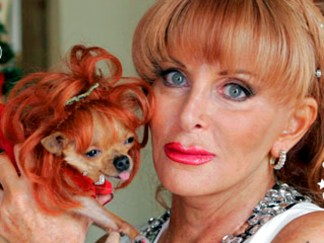 Fur Real: Miami Animals of 2010