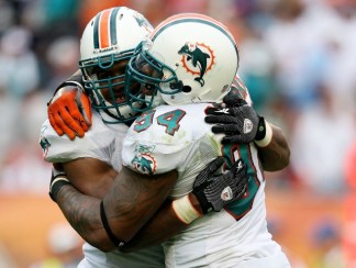 Victory in Pictures: Dolphins Defeat Patriots