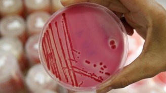 Cargill+recalled+products