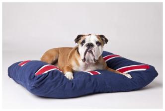 Donated Dog Beds Arrive at Shelter