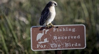 Everglades Hotel Proposal