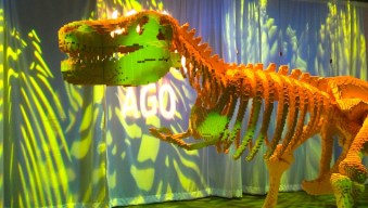 1st Look Loves: The Art of The Brick