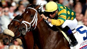 Belmont Stakes Contenders Hit the Track