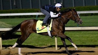 Kentucky Derby Field is Jam-Packed