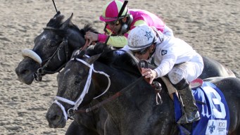 Kentucky Derby is Pletcher-Dominated Affair