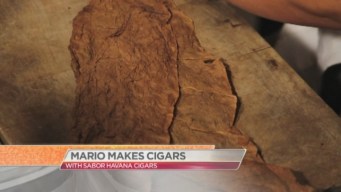 Mario in Miami: Cigar Rolling