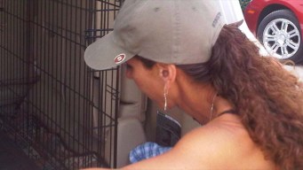 Advocate Helps Abandoned Animals
