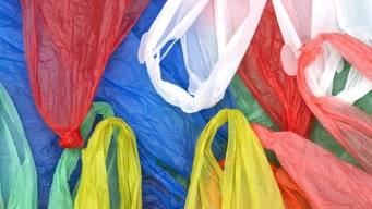 How to Stop Using Plastic Bags