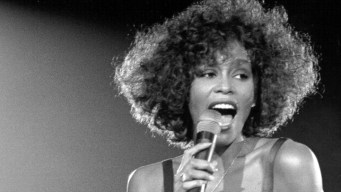Whitney's Dress, Earrings up for Auction 