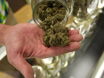 marijuana weed
