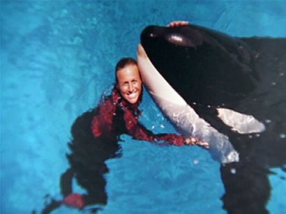 Dawn LoVerde Brancheau seaworld killer whale Dawn LoVerde Brancheau seaworld killer whale